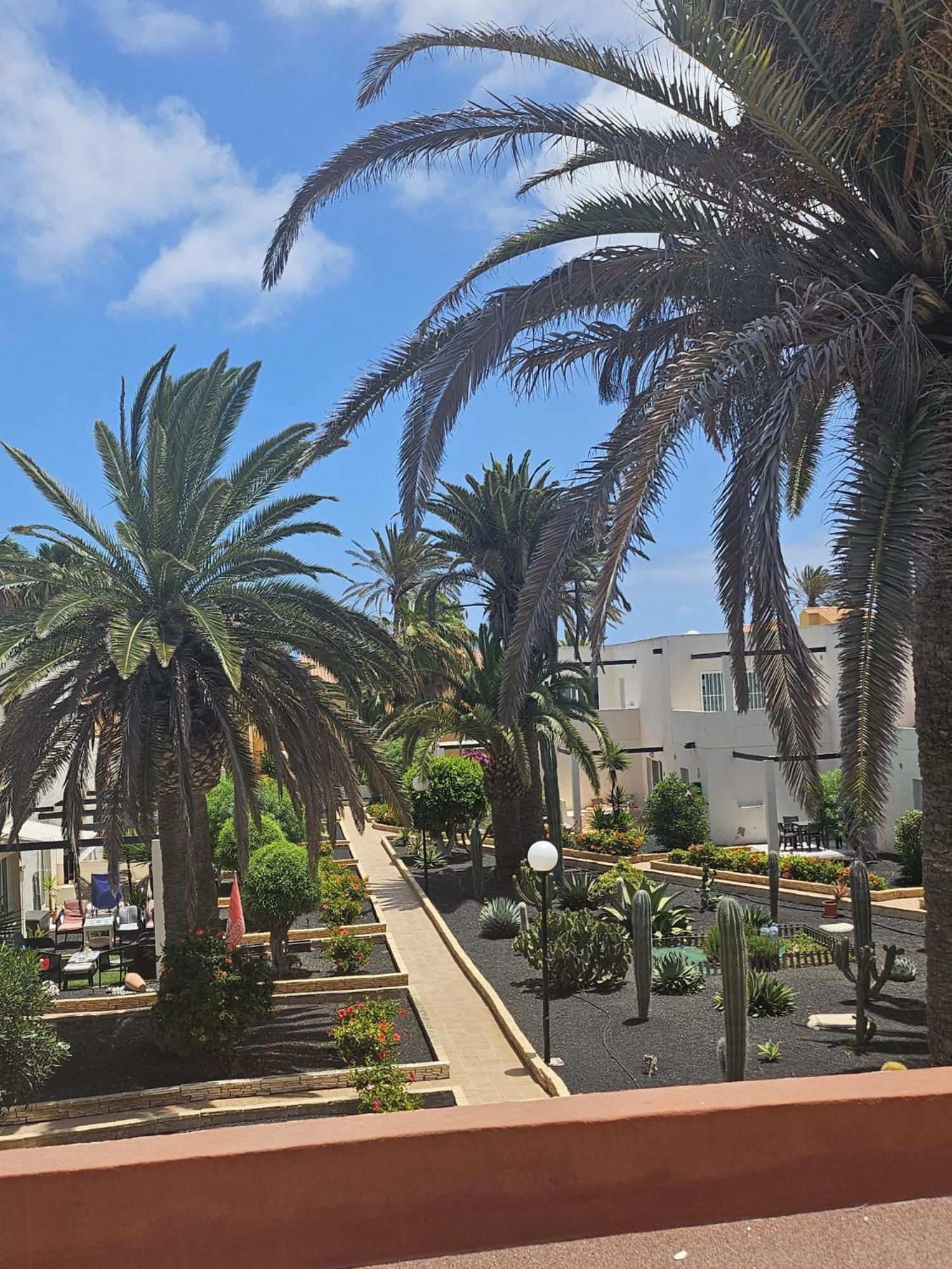 Apartamento New Alisios Playa Corralejo Exterior foto